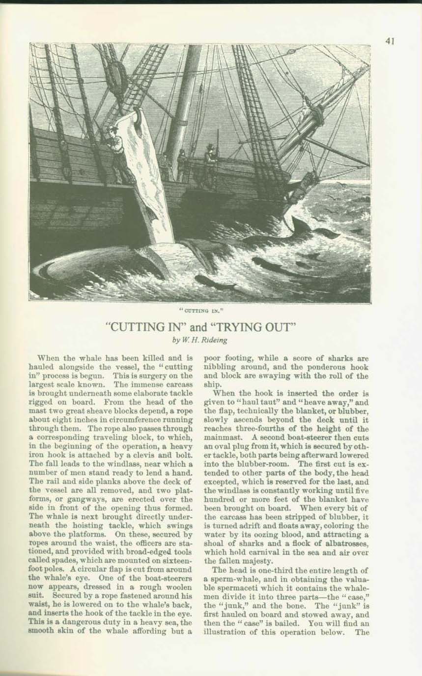 19th century whaling tales. vist0089l